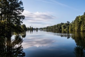 Stumpy Lake is a short drive from Regent University, Virginia Beach, VA 23464.