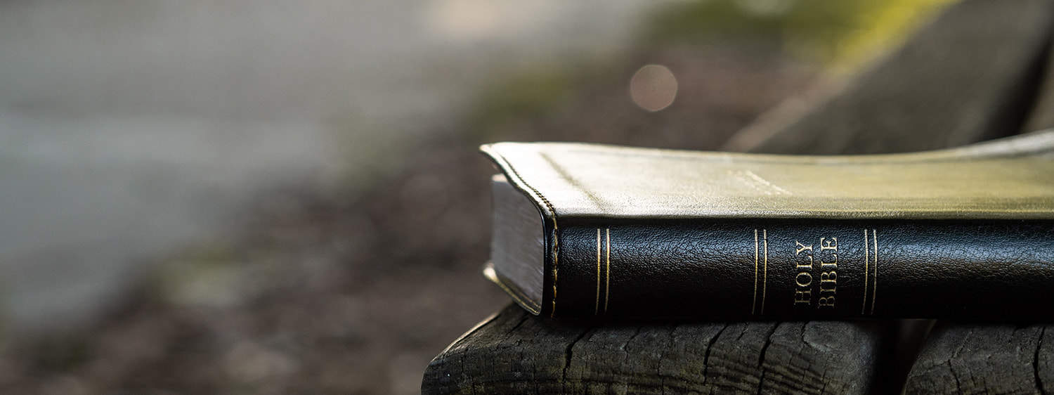 A closeup of the book spine of the Holy Bible on a bench that is used in the Master of Divinity in Theology & Ministry (M.Div.) - Chaplain Ministry Online degree program at Regent University.